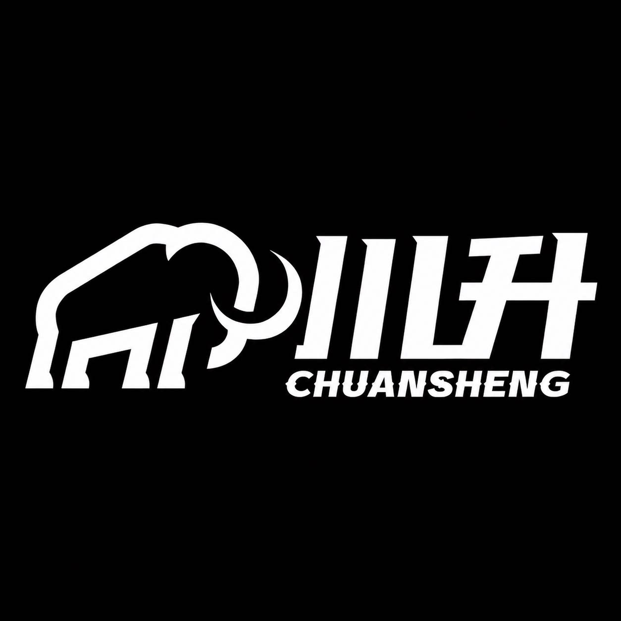 川升数码旗舰店