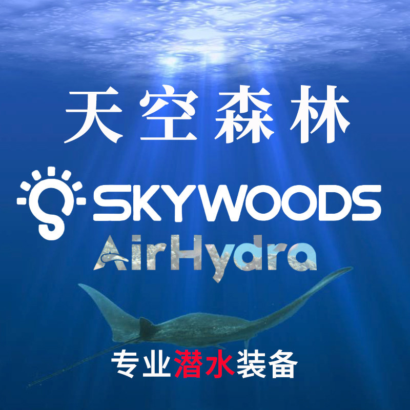 Skywoods天空森林 龙岗店
