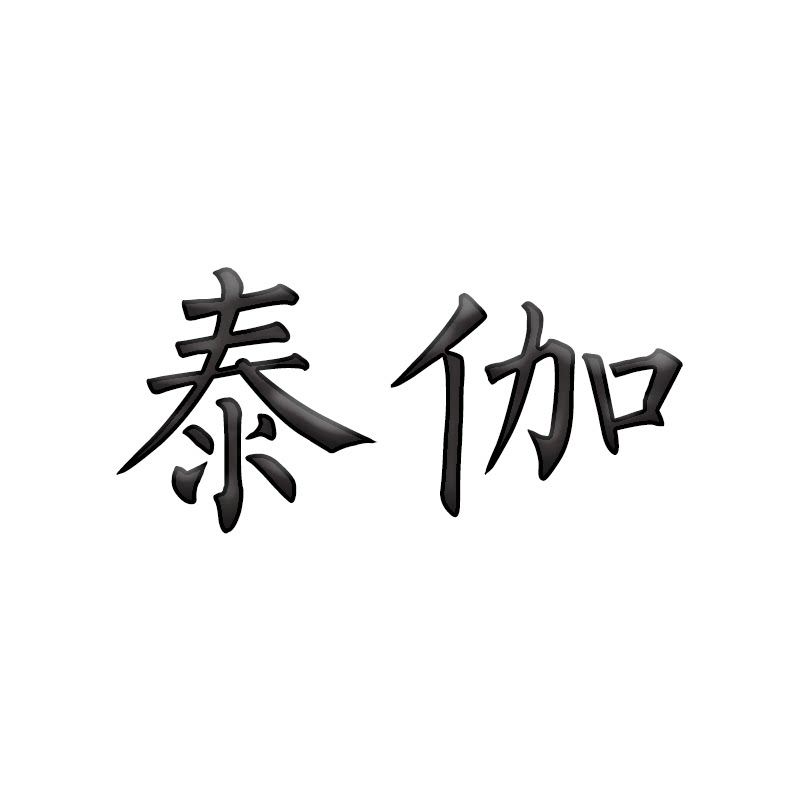 泰伽旗舰店