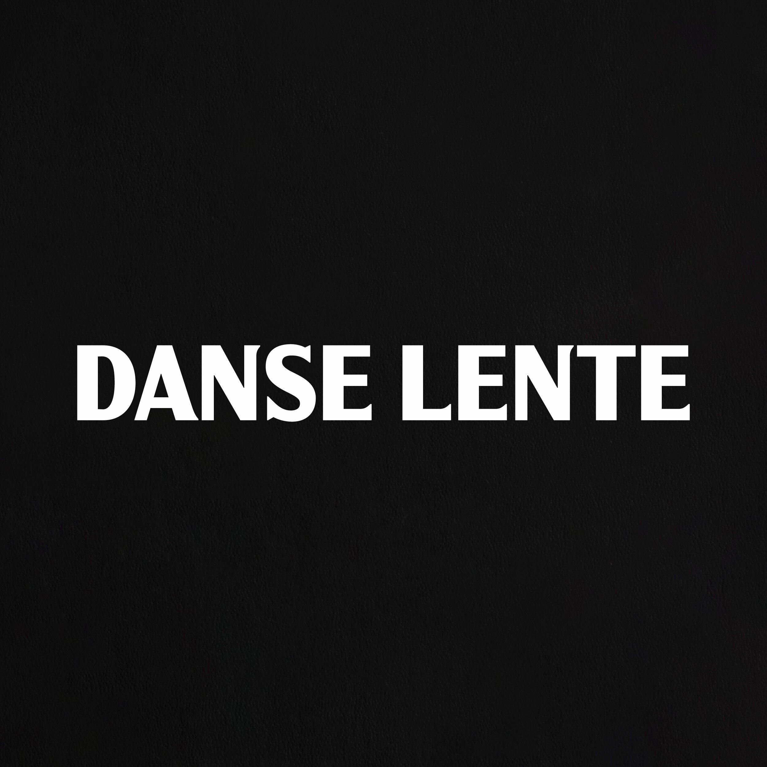 DANSE LENTE旗舰店