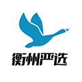 衡州严选企业店