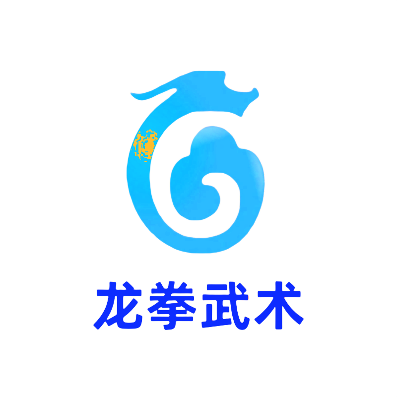 龙拳旗舰店