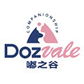 DOZVALE嘟之谷旗舰店