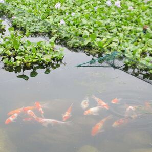 浙牧活体饲料养殖基地