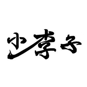 小李子旗舰店