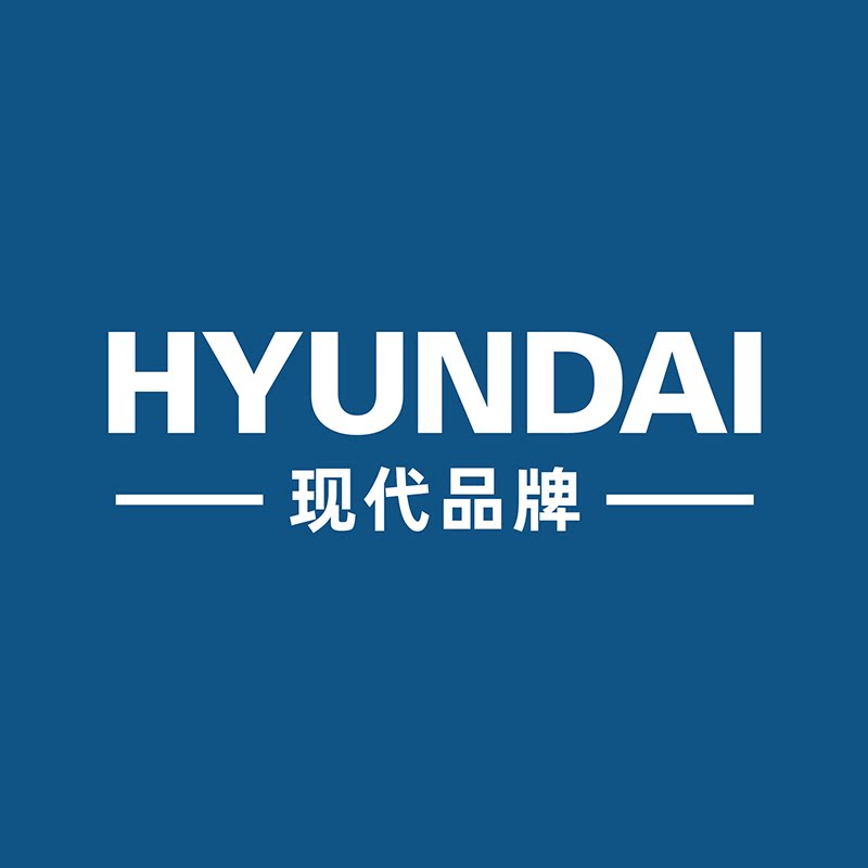 HYUNDAI现代鸿独专卖店