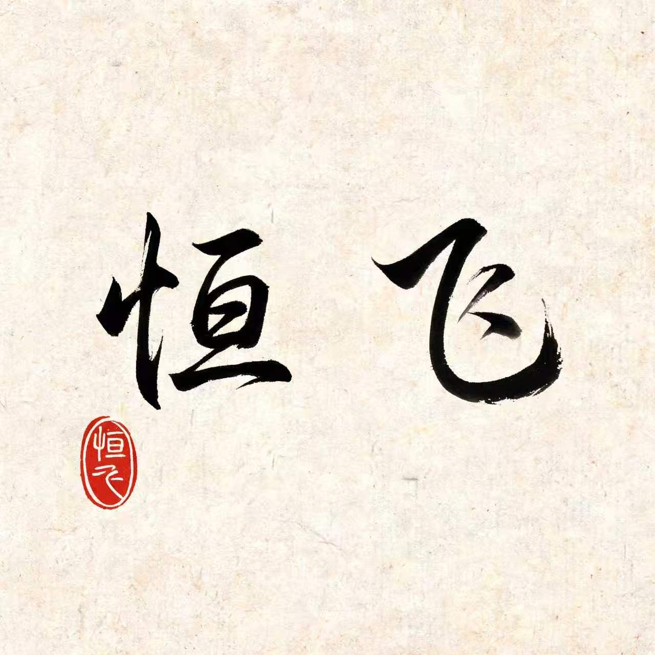 恒飞金属材料批发1 店铺LOGO