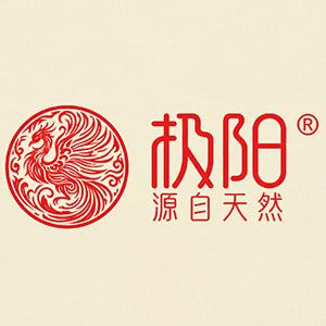 极阳旗舰店 店铺LOGO