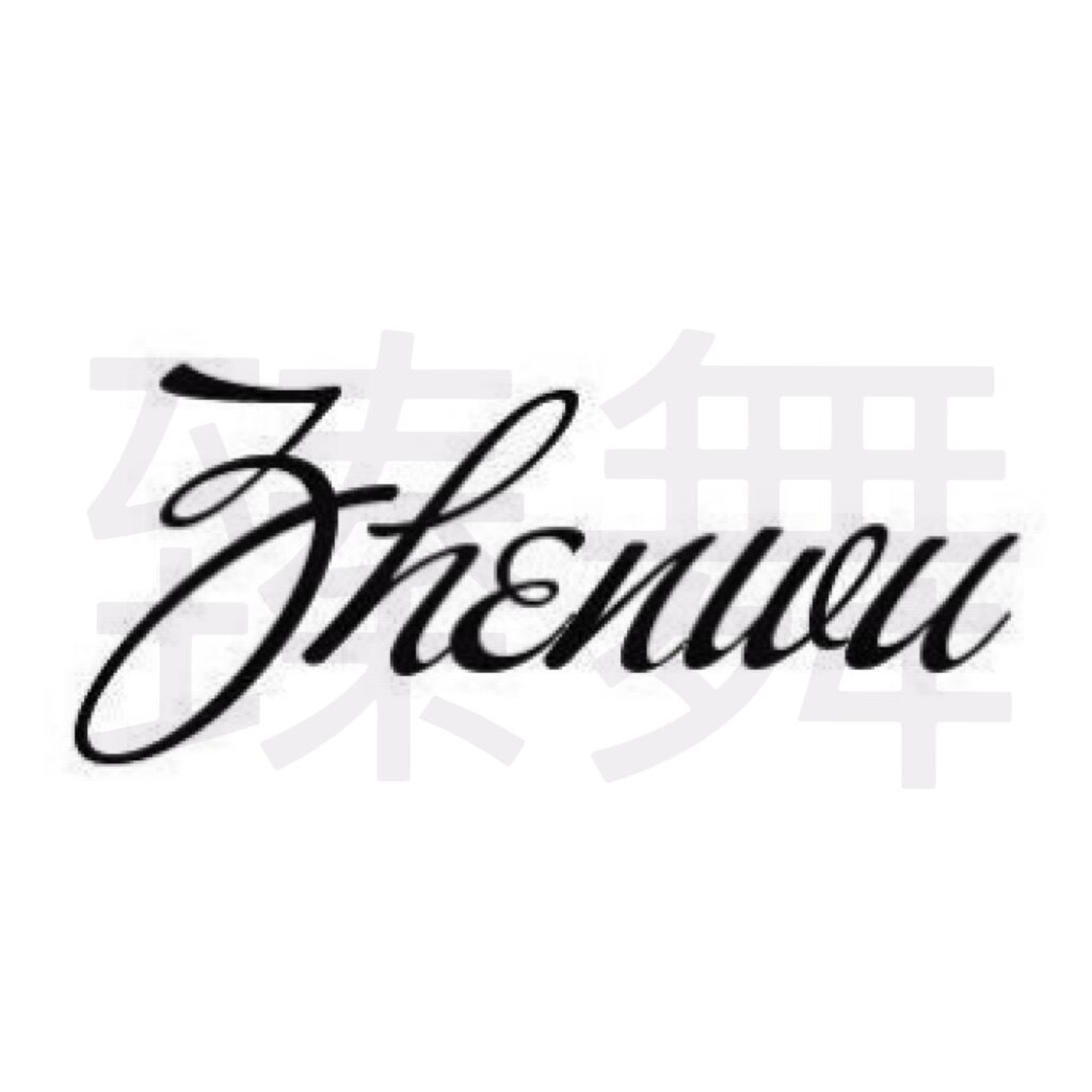 ZHENWU臻舞国际拉丁舞服品牌企业店