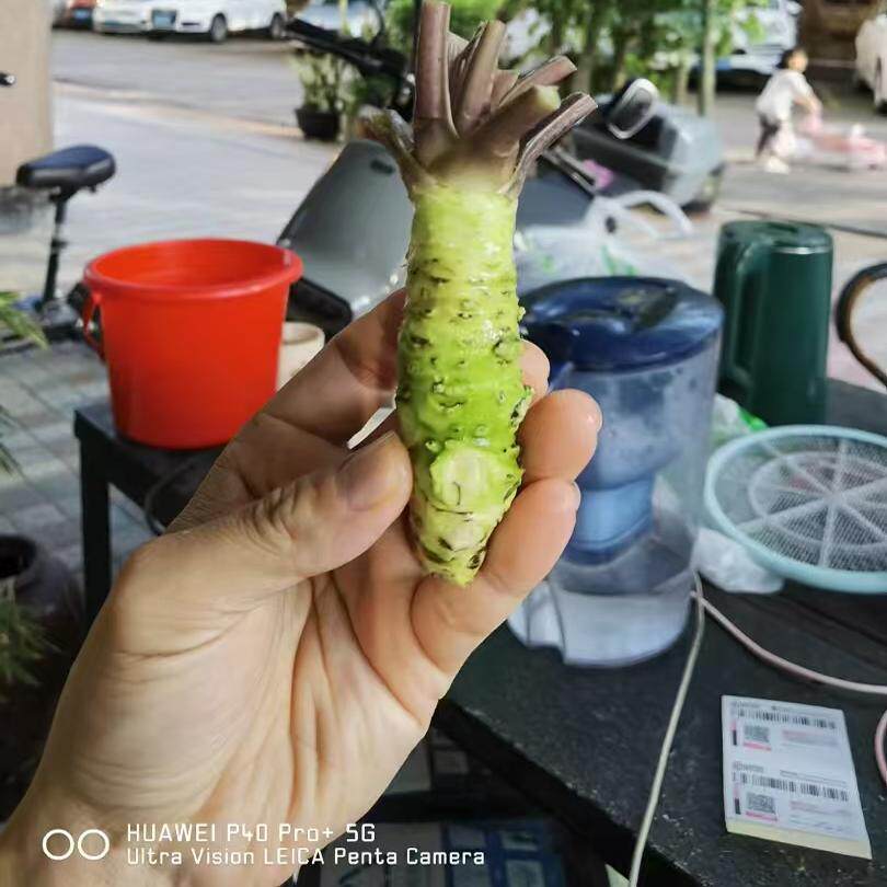 广州泽癸