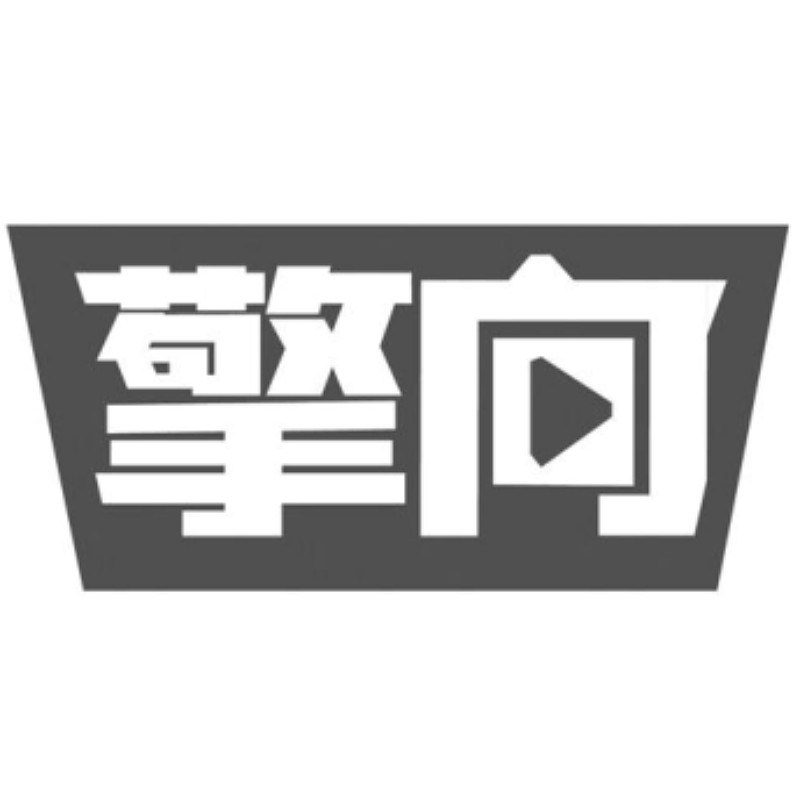 擎向旗舰店