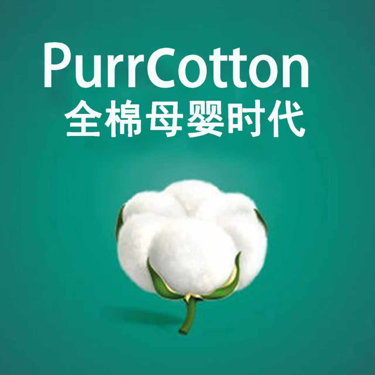 PPurcottoon全纯棉时代