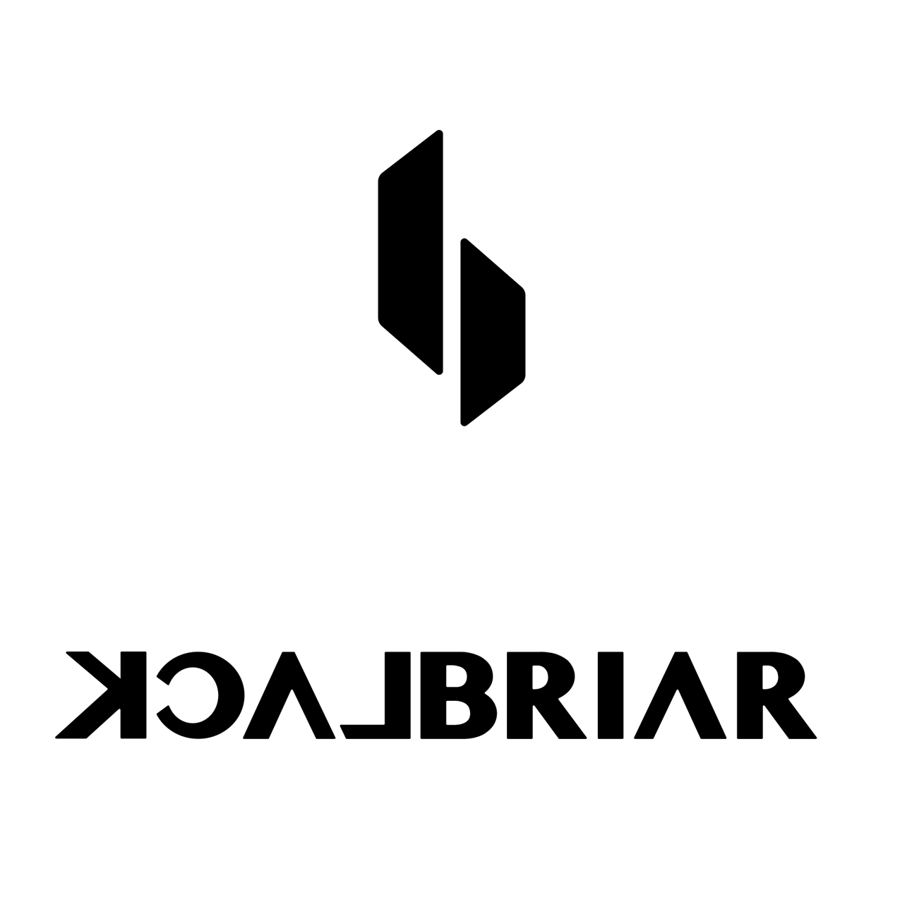BLACKBRIAR旗舰店