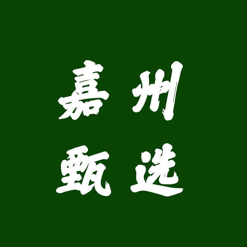嘉州甄选企业店 店铺LOGO