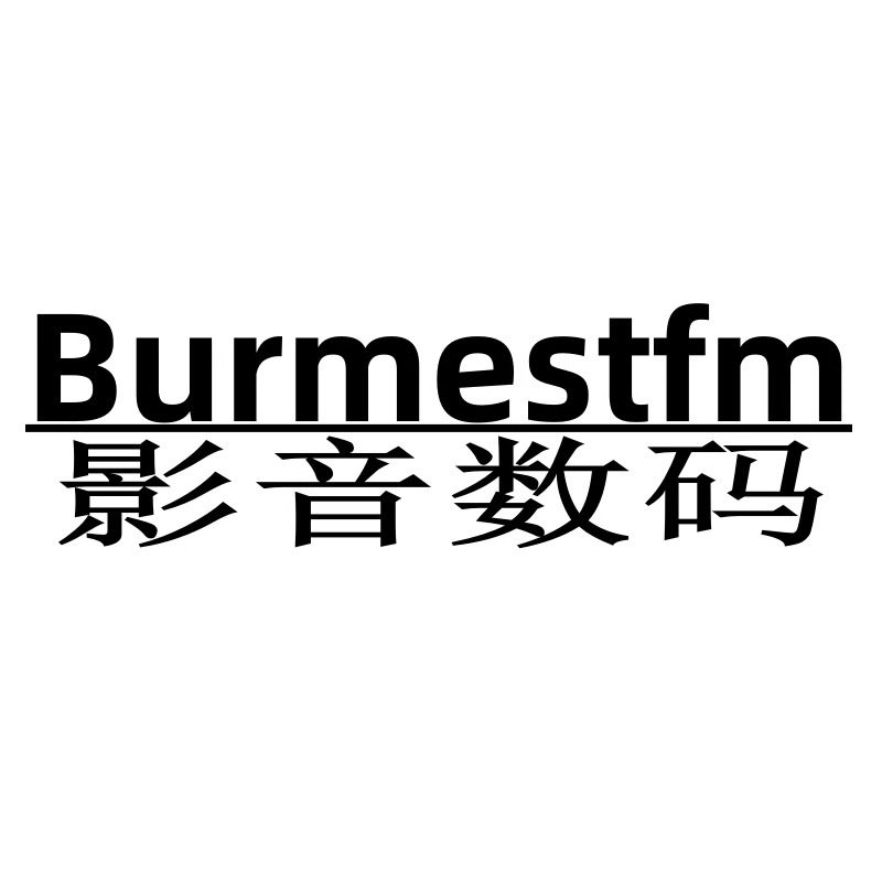 Burmestfm柏林之声数码店 店铺LOGO