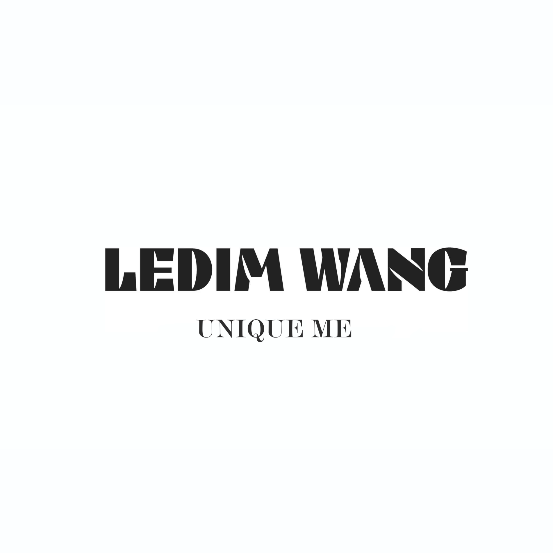 LEDIMWANG旗舰店