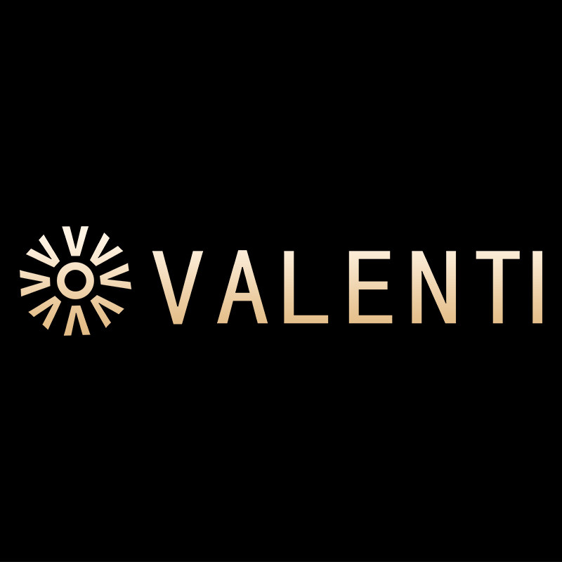 VALENTI电器旗舰店
