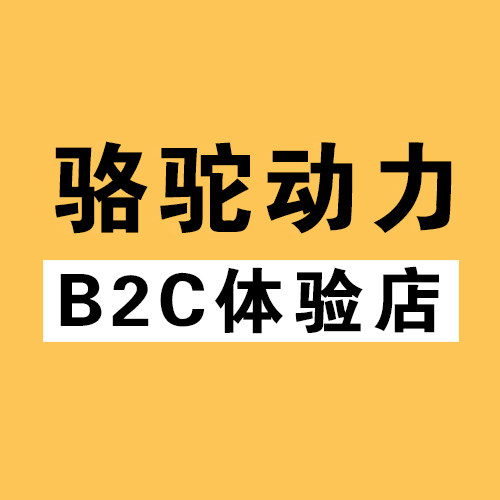 骆驼动力B2C体验店