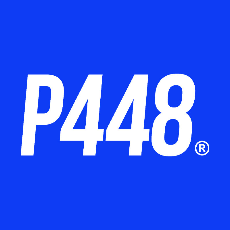 P448 YCSL官方旗舰店