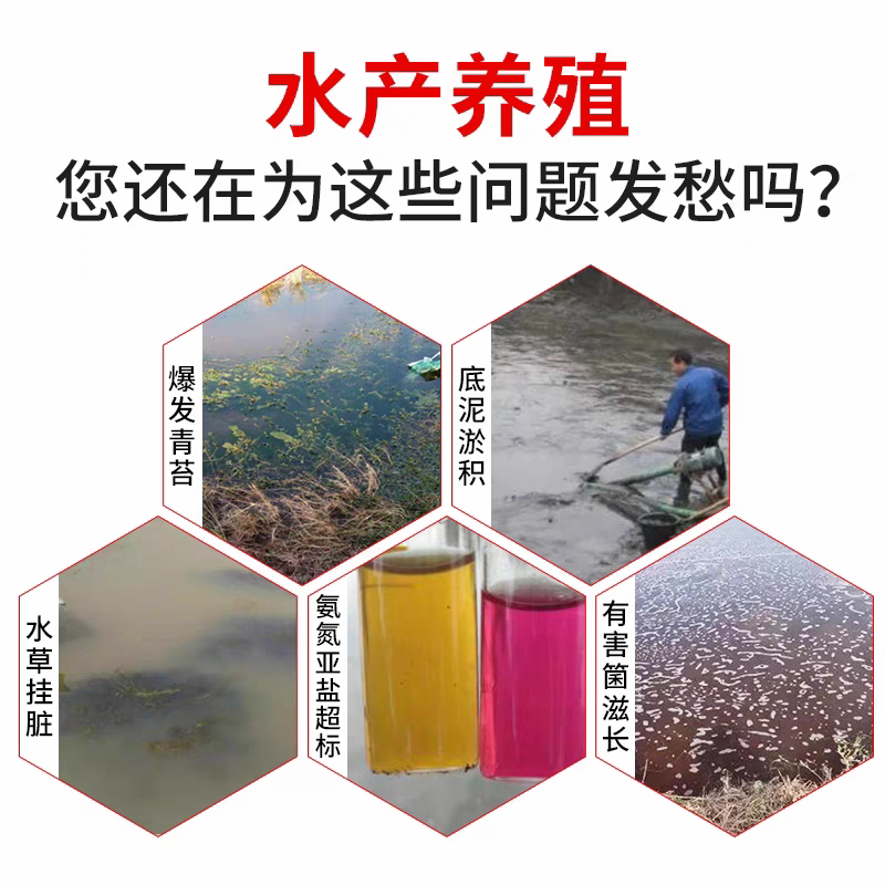 潜江动保饲料店