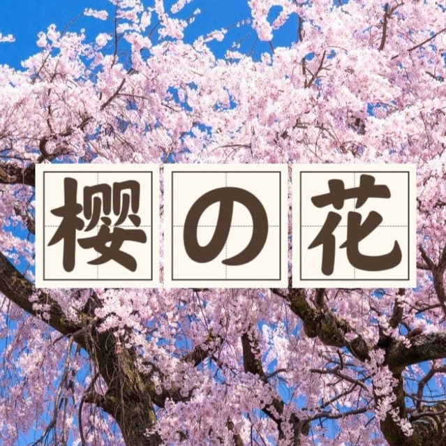 樱の花絮电玩 店铺LOGO