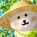 芝士奶盖i