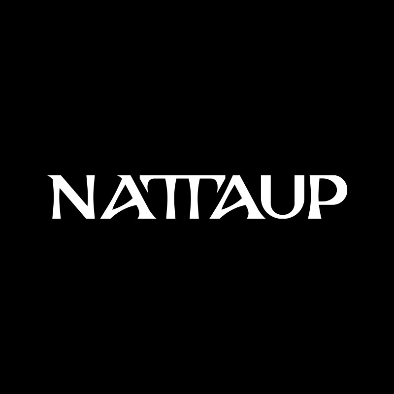 NATTAUP旗舰店 店铺LOGO