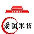 爱国苗木