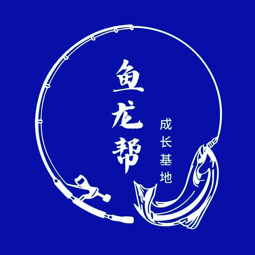 鱼龙帮审计实操基地
