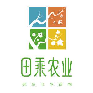 田乘旗舰店