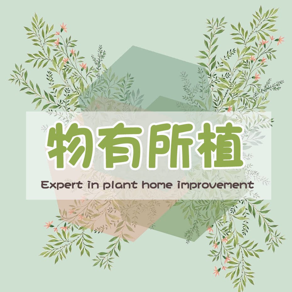 物有所植