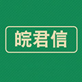 皖君信仪表