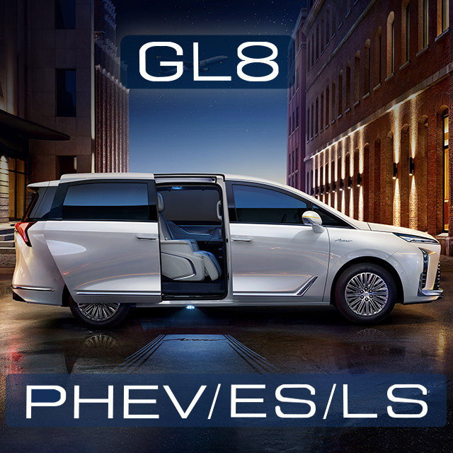 GL8 PHEV ES LS精英改装店