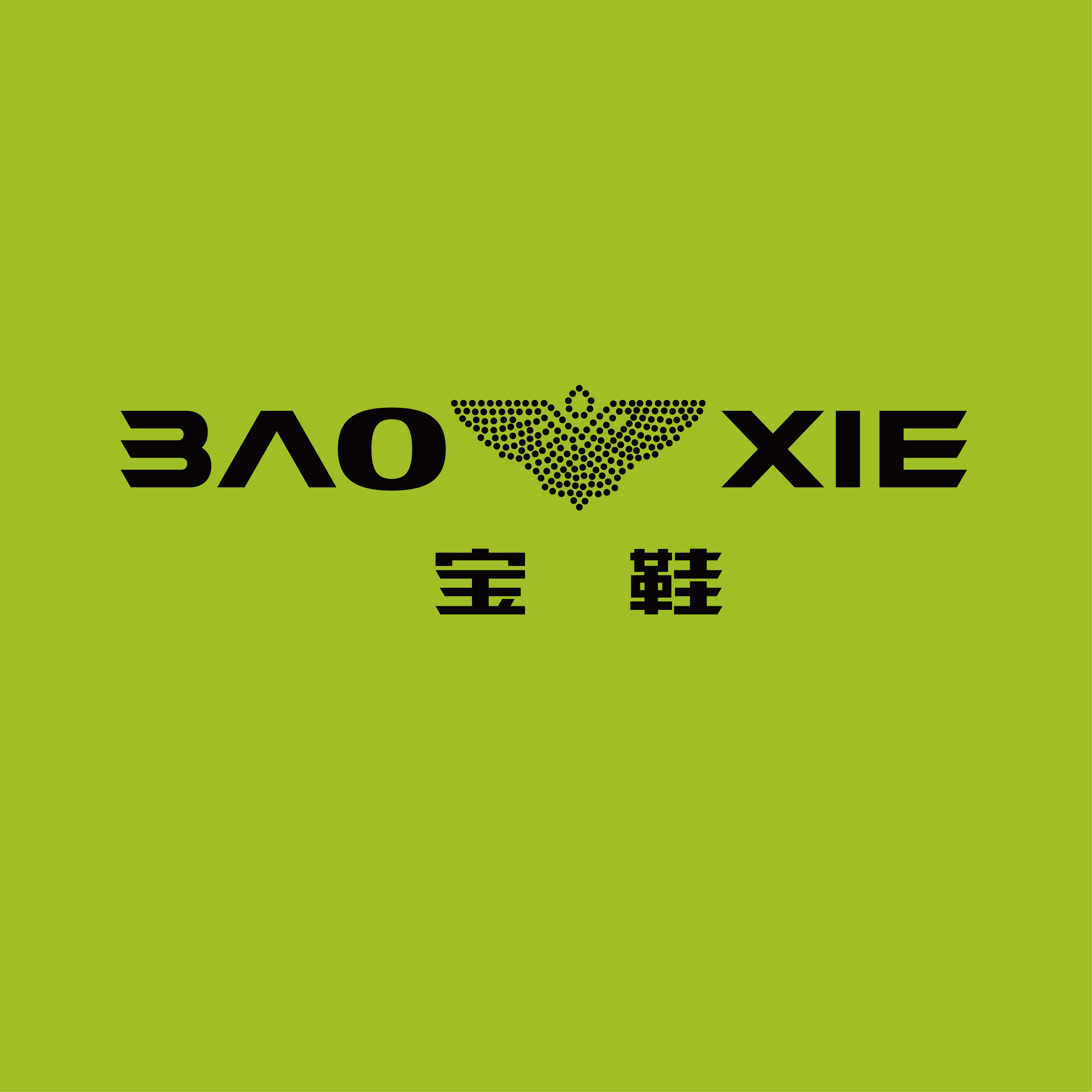 宝鞋旗舰店