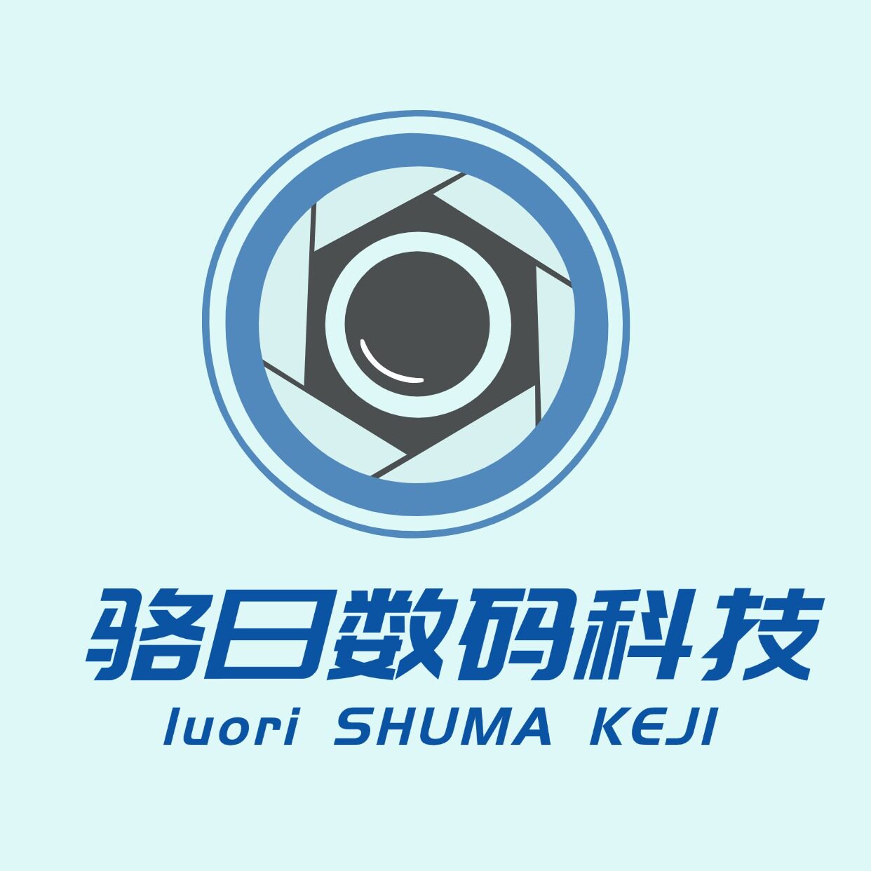 骆日出品数码旗舰店