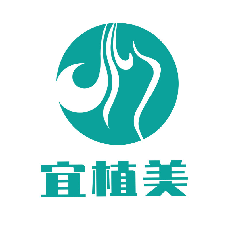 宜植美内衣旗舰店