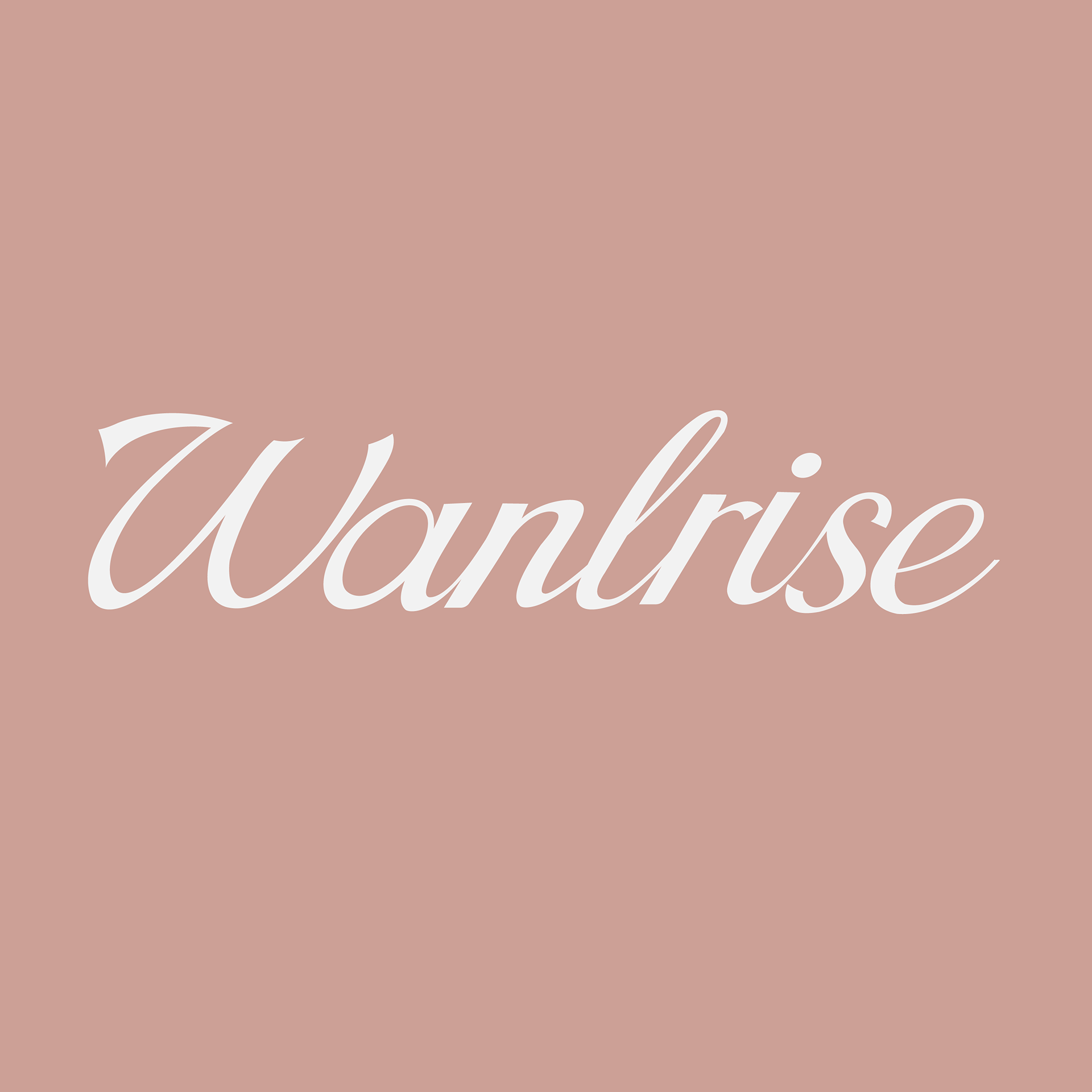 WANLRISE旗舰店