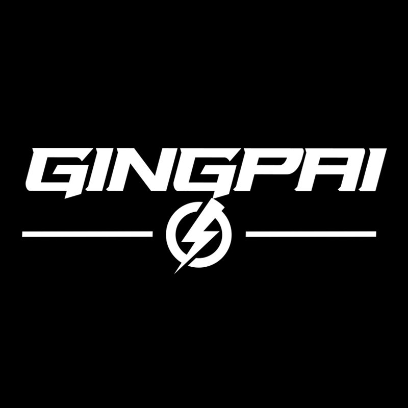GINGPAIBOXING旗舰店