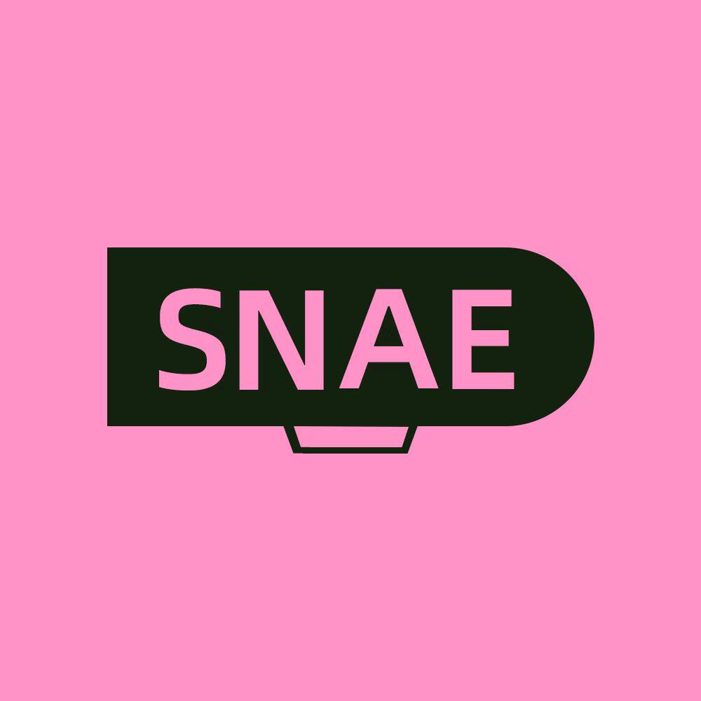 SNAE旗舰店