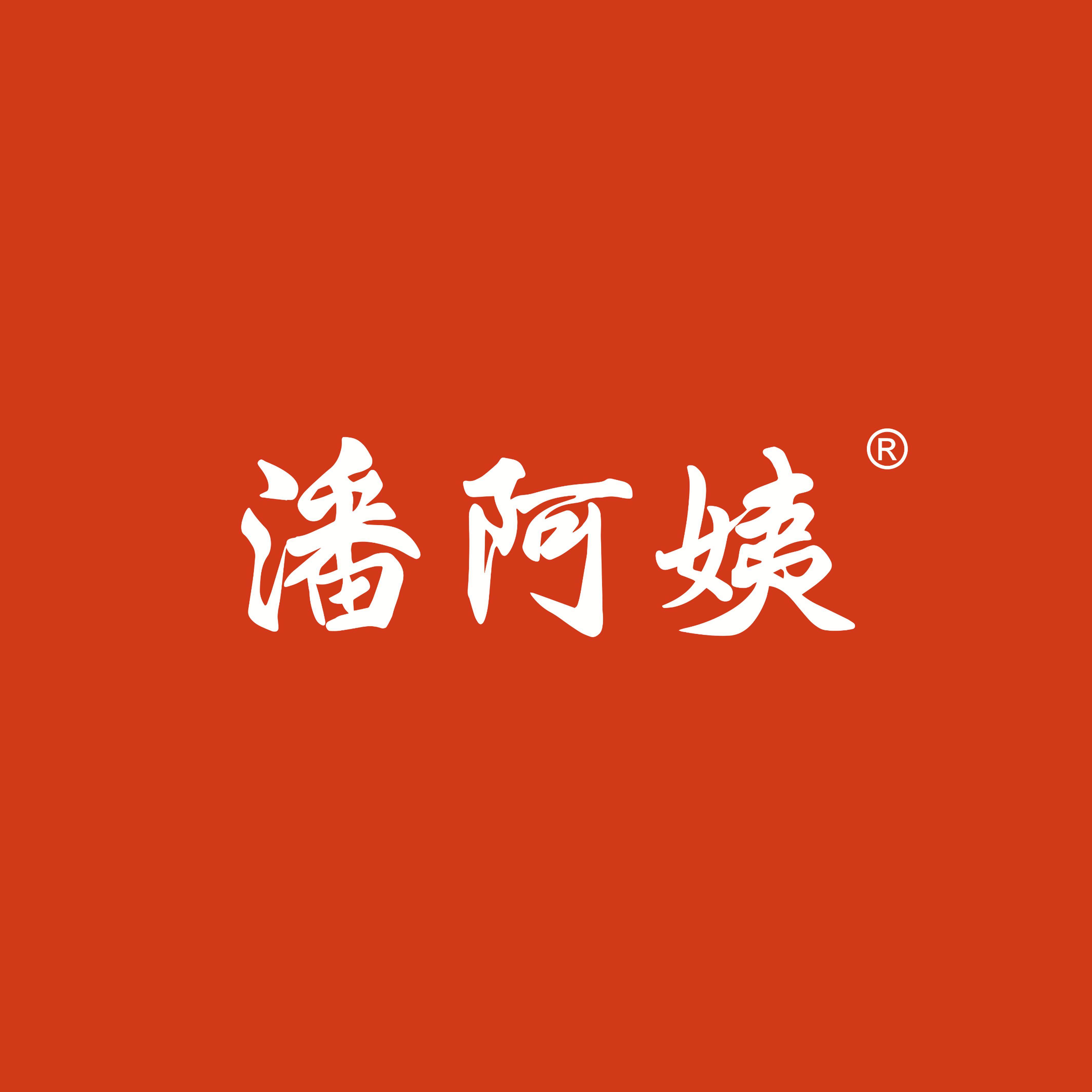 潘阿姨食品旗舰店