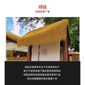 绿益旗舰