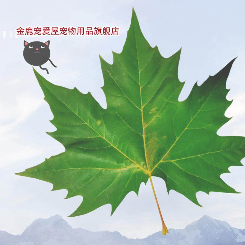 金鹿宠爱屋宠物用品旗舰店