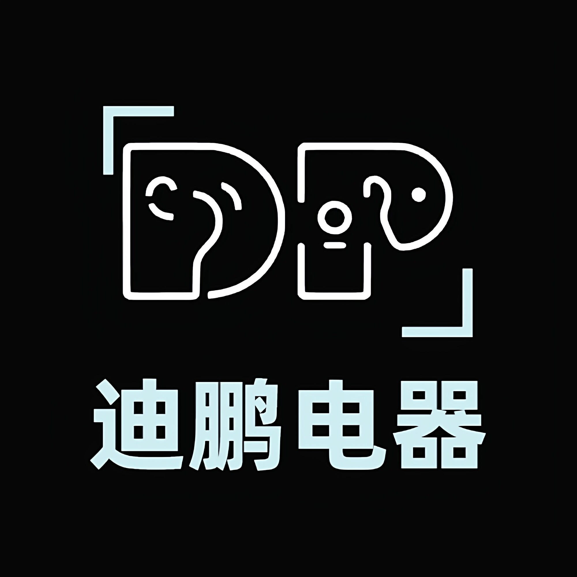 迪鹏电器专营店