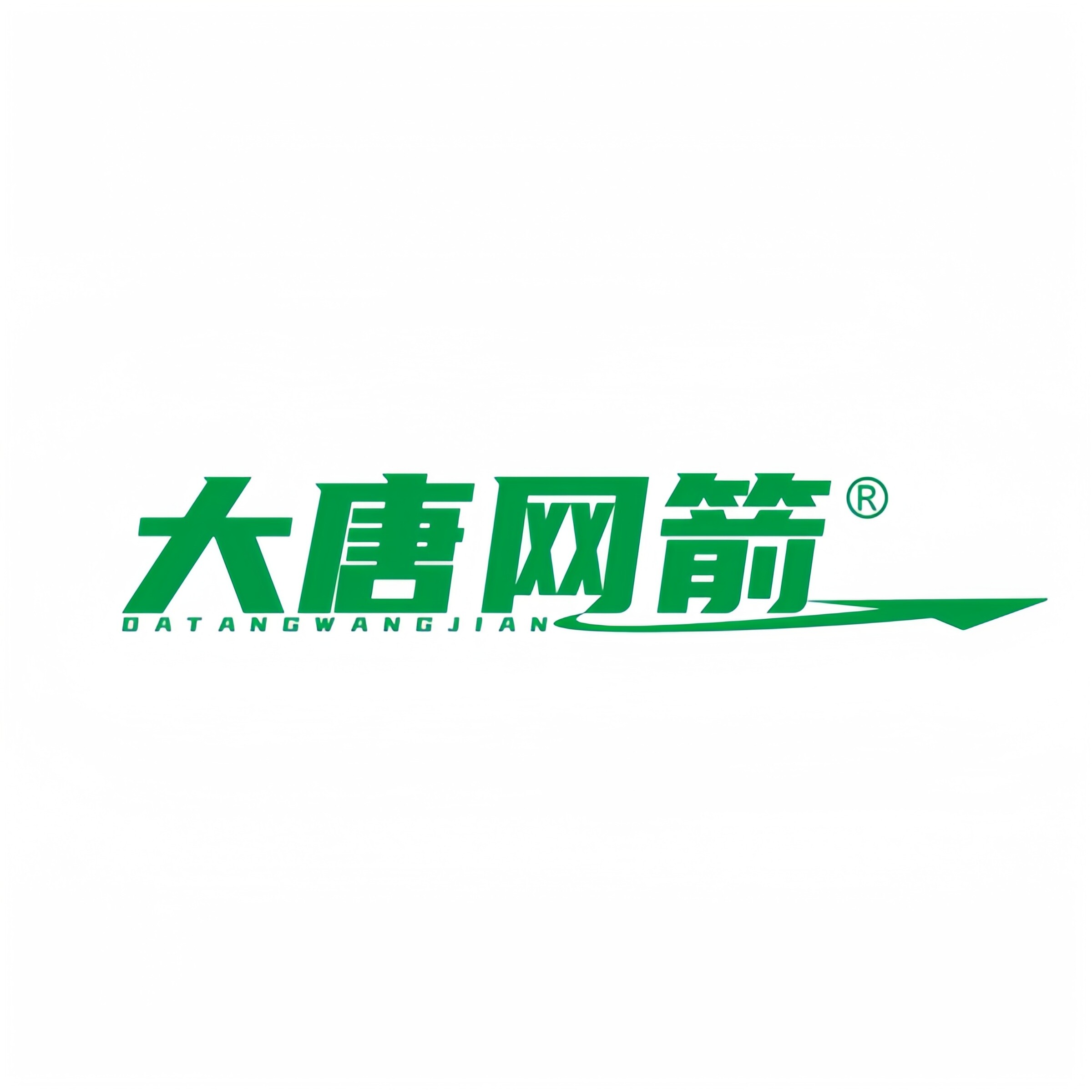 大唐网箭旗舰店