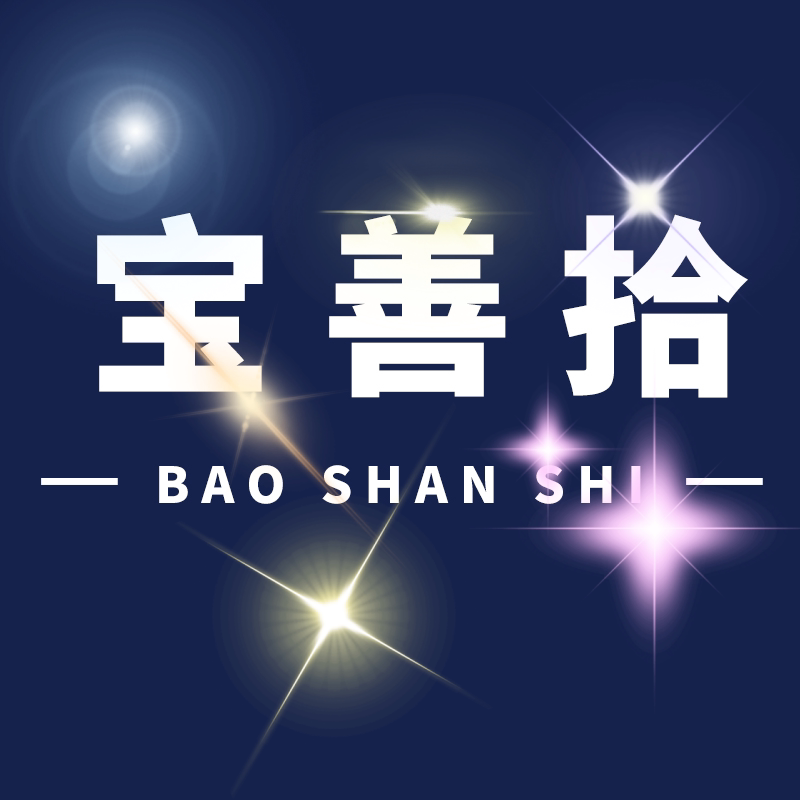 宝善拾旗舰店