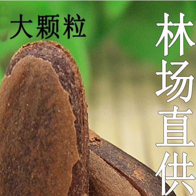 坚果产地直发