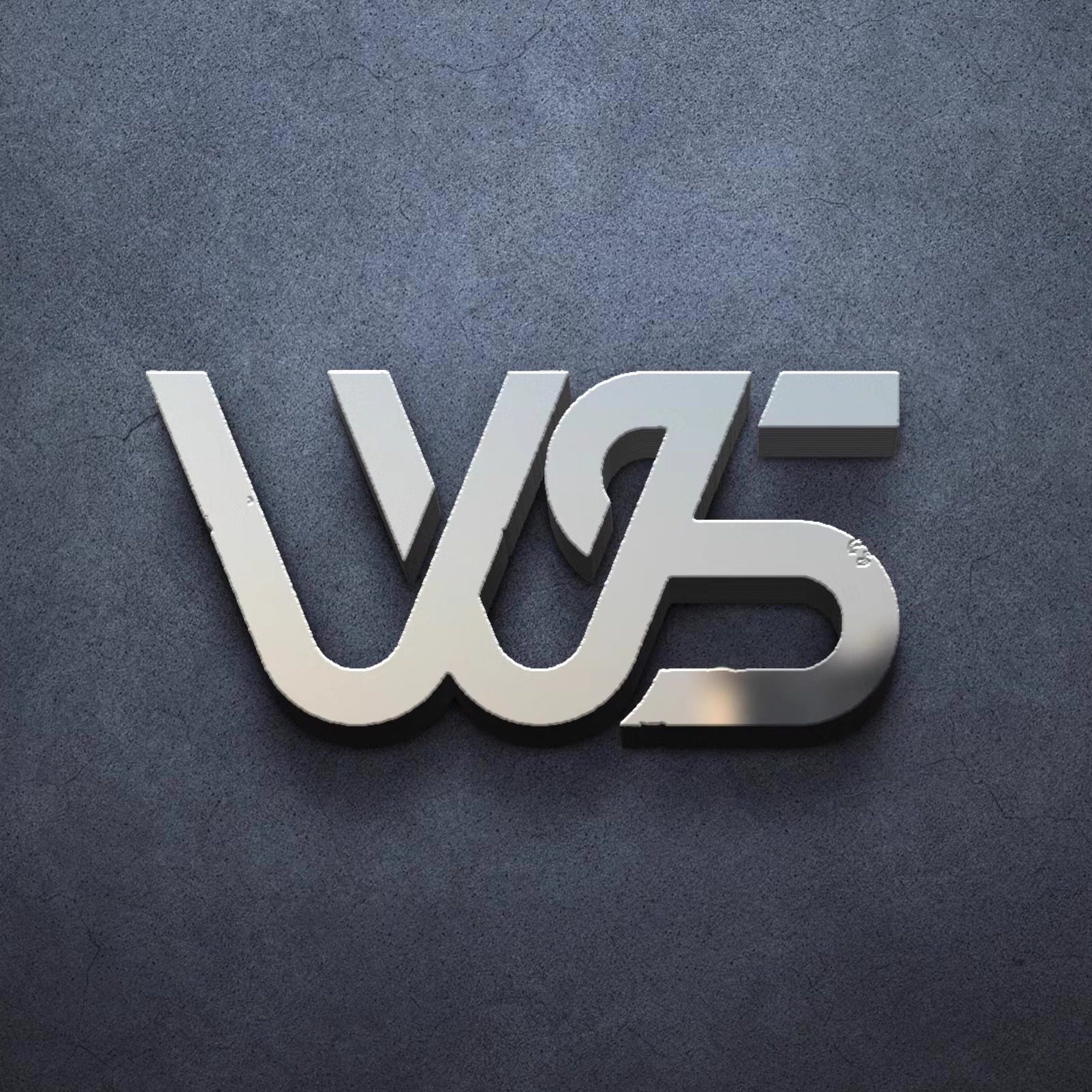 VVS眼镜旗舰店