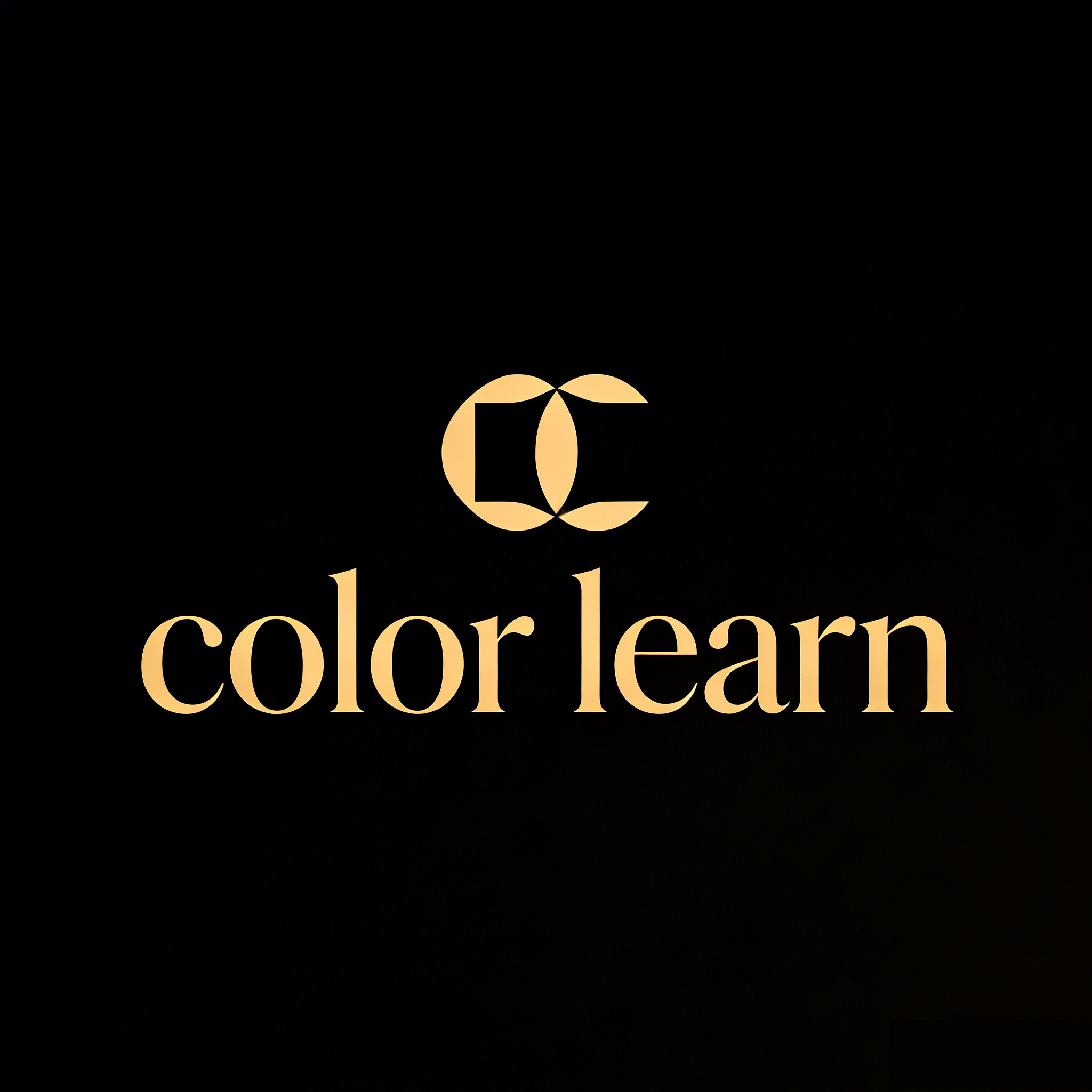 colorlearn旗舰店 店铺LOGO