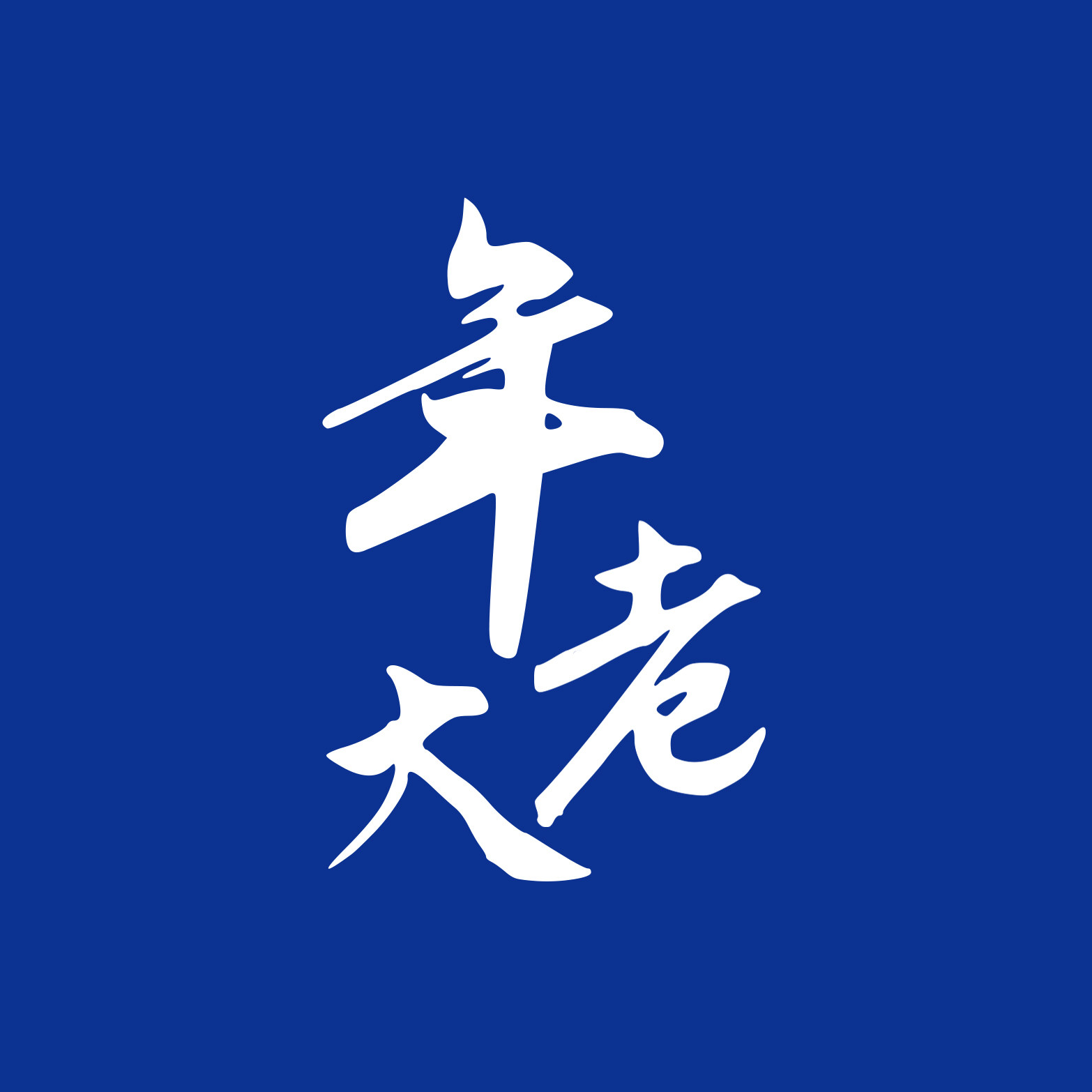 年老大旗舰店