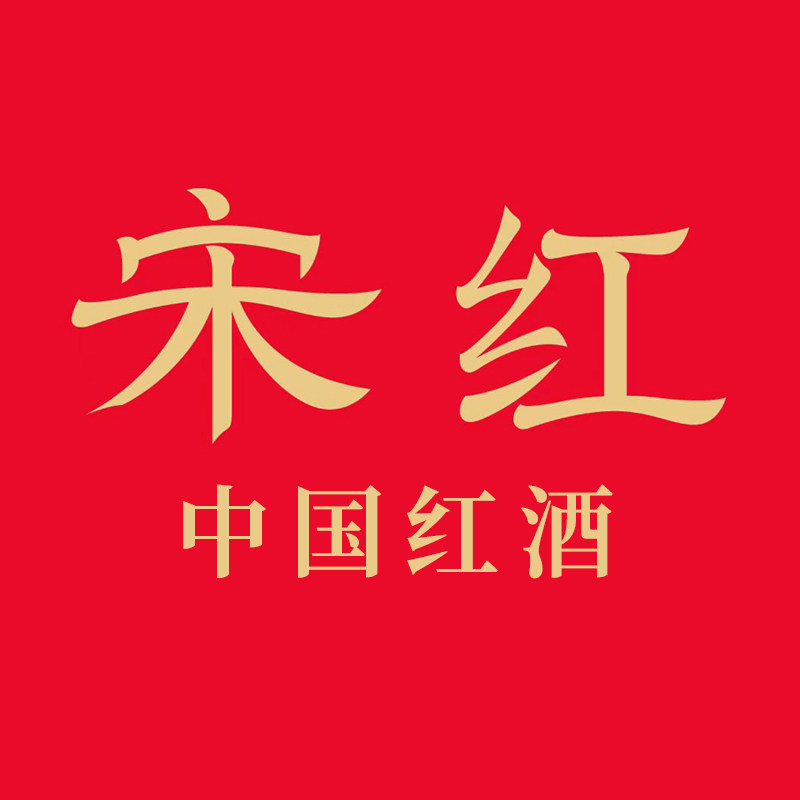 宋红旗舰店